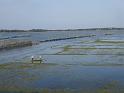 076- Paysage